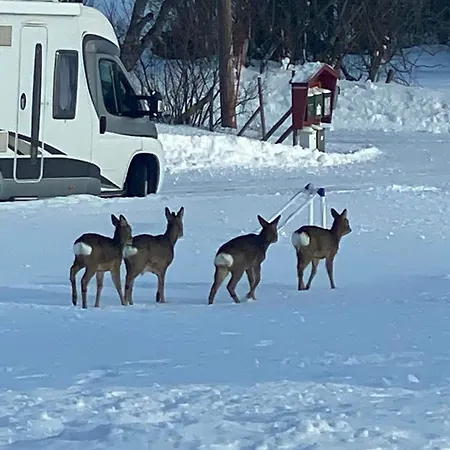 Apartament Lyngen 5-beds With Dryingroom And Sauna-rental Oksvik