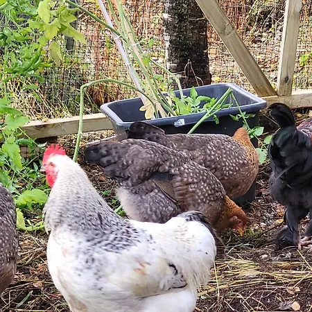 Apartament Lyngen 5-beds With Dryingroom And Sauna-rental Oksvik