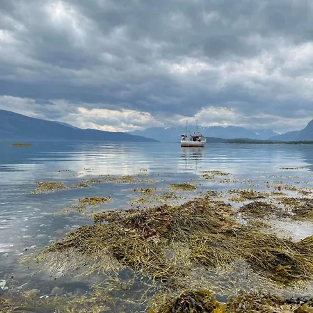 Apartament Lyngen 5-beds With Dryingroom And Sauna-rental