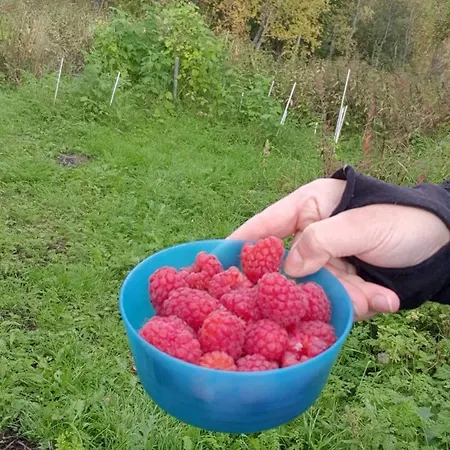 Apartament Lyngen 5-beds With Dryingroom And Sauna-rental *