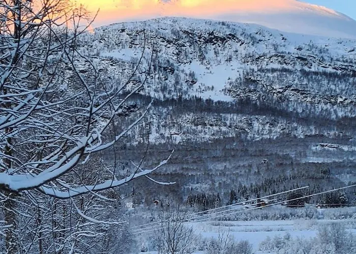 Lejlighed Lyngen 5-beds With Dryingroom And Sauna-rental *