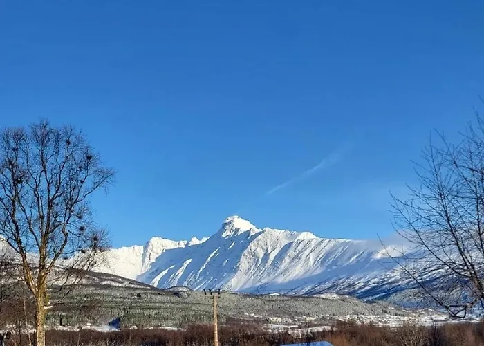 Lejlighed Lyngen 5-beds With Dryingroom And Sauna-rental *