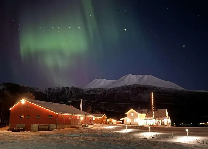 Lyngen 5-beds With Dryingroom And Sauna-rental *